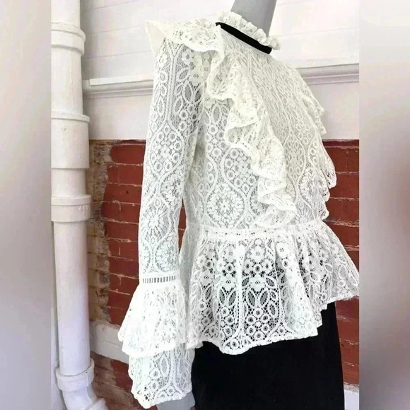Amaryllis Lace High Neck Blouse Ruffles Long Sleeve New Romantic Sheer - Picture 5 of 15